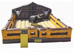 Mechanical Bull