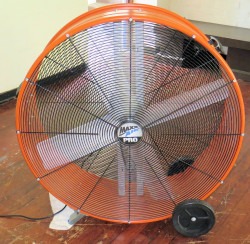 4ftfan1 1741289510 4ft tall Fan